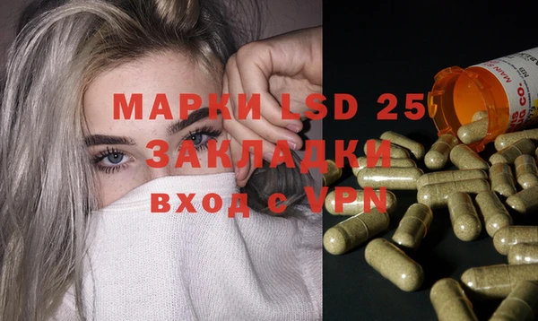 эйфоретик Аркадак