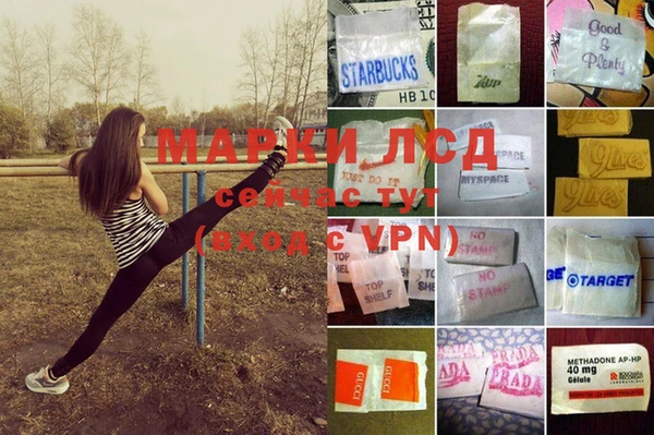 эйфоретик Аркадак
