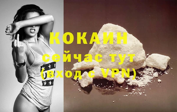 шишки Армянск